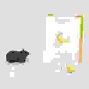 Guinea Pig Urn